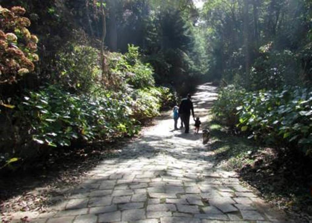 דירות Campos do Jordão Refugio Melissa חדר תמונה