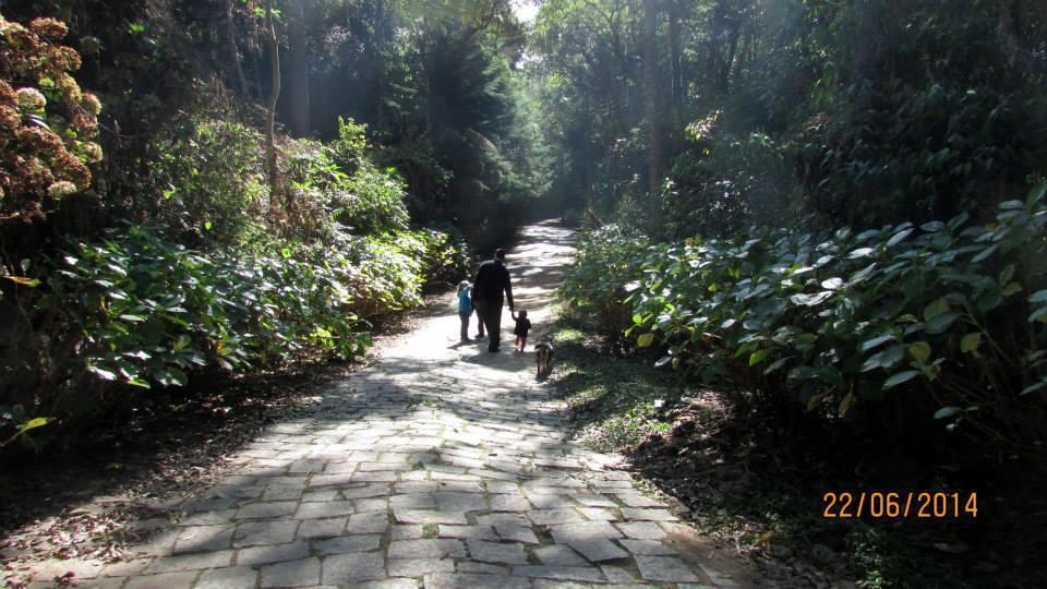 דירות Campos do Jordão Refugio Melissa מראה חיצוני תמונה