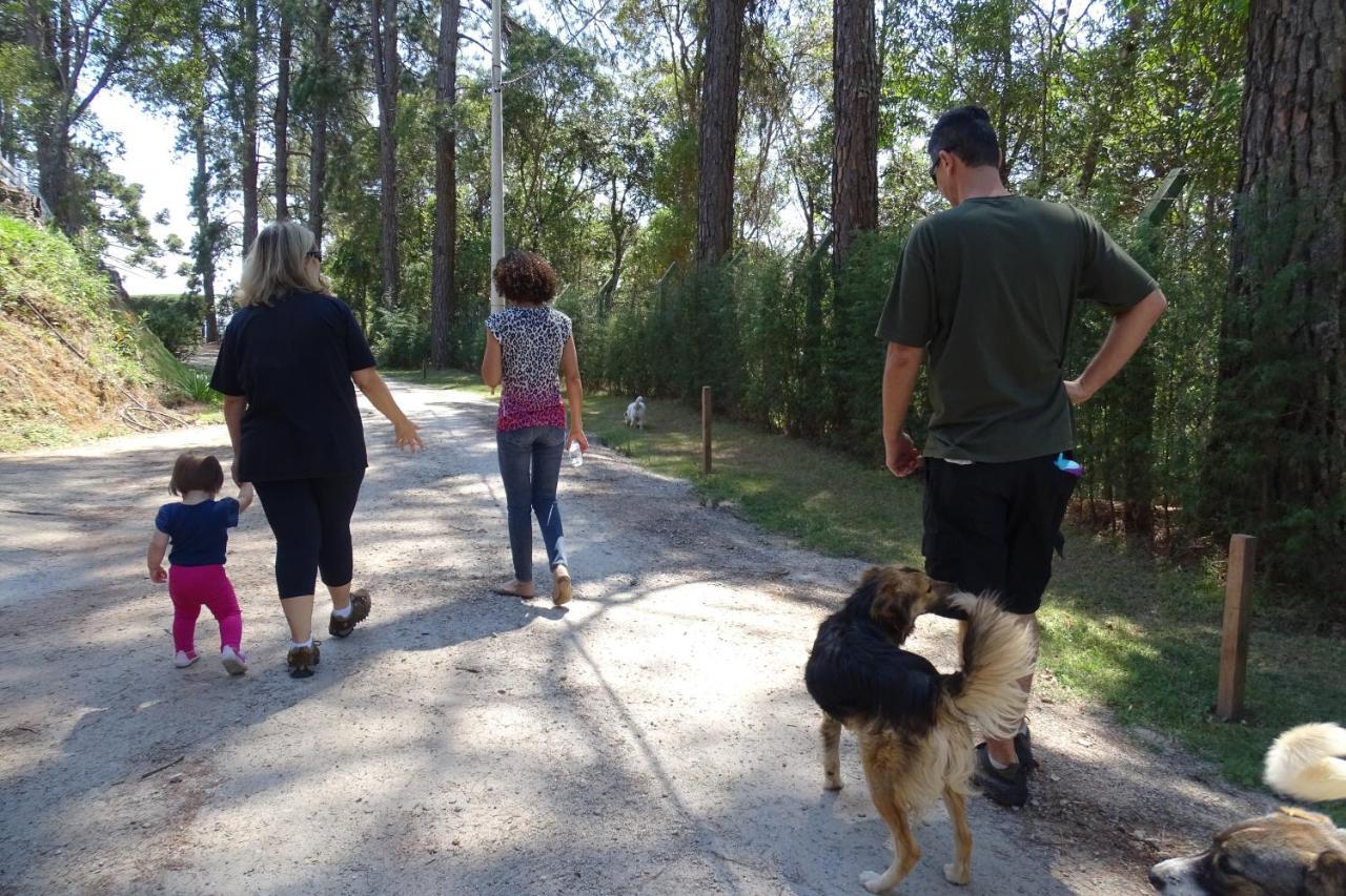 דירות Campos do Jordão Refugio Melissa חדר תמונה